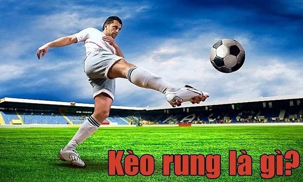 Kèo rung và những kinh nghiệm soi kèo rung hiệu quả